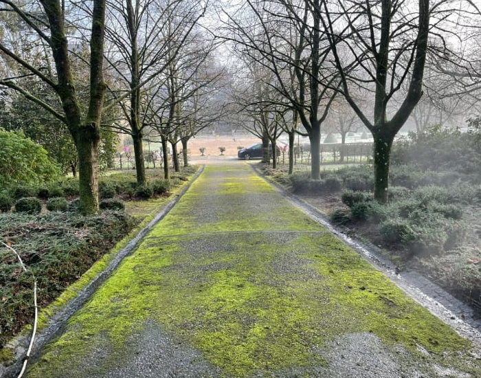 Allée avant nettoyage