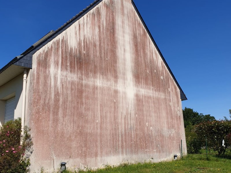 Algues rouges sur une façade